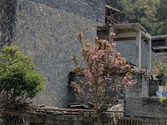 -高荡千年布依古寨旅游景区