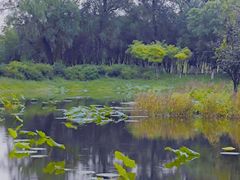 -东郊湿地公园