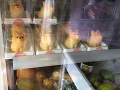 柴犬蛋糕-柴犬高等学院·狗咖·柴犬售卖·宠物训练