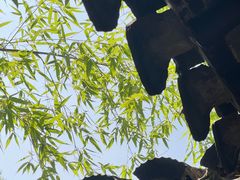 -拙政园