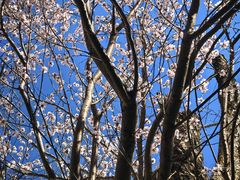 -龙湖星悦荟(颐和店)