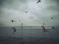 -星海广场