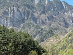 -秦岭天竺山景区