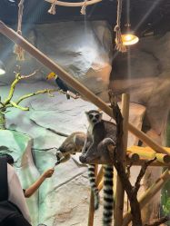 -Zoolung Zoolung动物主题公园(海信广场店)