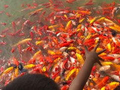 -泰安地下龙宫景区
