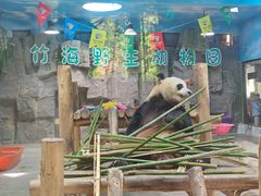 -栾川竹海野生动物园