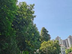 -重庆长寿碧桂园凤悦凤凰酒店