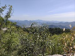 -何适山庄·团餐住宿(水长城P2停车场店)