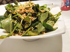 凉拌折耳根-小河盐帮·私家菜·烤鸭(三元桥·霄云路店)