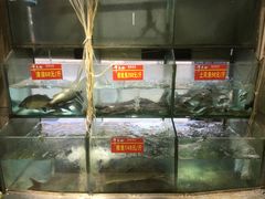 水产区-干老四雅鱼饭店(滨江西路店)