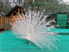 -香宫中餐厅 · 桂林香格里拉