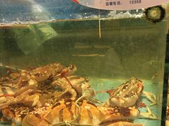 -快乐海鲜酒楼(滇池路店)