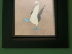 -SeekSeeking咖啡专门店(堰塘街店)