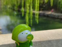 -颐和园
