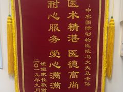 -中农国际动物医院24小时·猫科·骨科·急重症中心