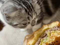 -麦当劳(新王府井店)