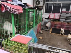 -保定市花鸟鱼虫市场