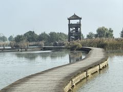 -盐城丹顶鹤湿地生态旅游区