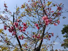 -中国移动南方基地