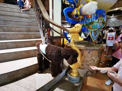 -more than meow吴止猫主题餐厅(承德 中船汇店)