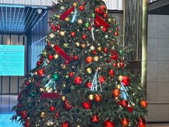 -新加坡乌节希尔顿酒店 (SG Clean)