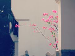 -乌山风景区