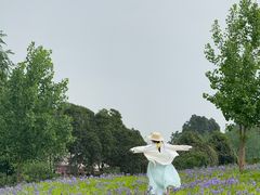 -白鹭湾湿地公园