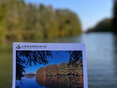 -上海海湾国家森林公园