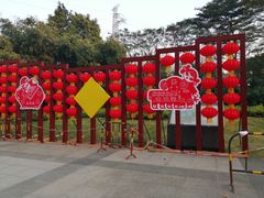 -晓港公园