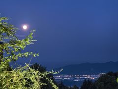 -铁山坪森林公园