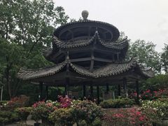 -木兰云雾山