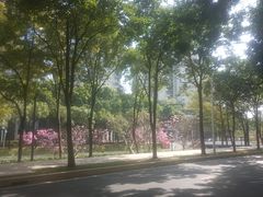 -白石龙音乐公园