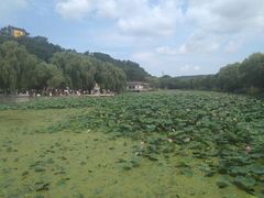 -北山公园
