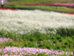 -苏州湾体育公园