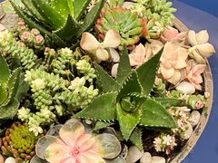 -梨媛花艺设计