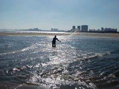 -烟台海昌鲸鲨海洋公园