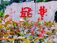 -岳麓山风景名胜区