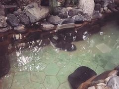 -张家港金凤凰度假村温泉