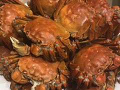 -王宝和酒家(黄浦店)