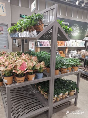 有服装类和居家百货还有好多绿植