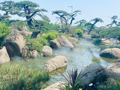 -罗红摄影艺术馆