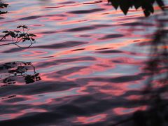 -艾溪湖湿地公园