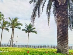 -大梅沙海滨公园