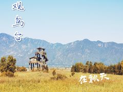 -野鸭湖国家湿地公园