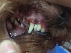 -沐沐家宠物(成寿寺店)