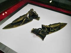 -上海昆虫博物馆