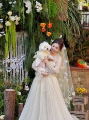 点击看大图 -GODDESS WHITE婚纱礼服(鹏城动力大厦店)