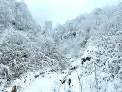 -九峰山