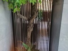 -老头儿油爆虾(星光一期店)