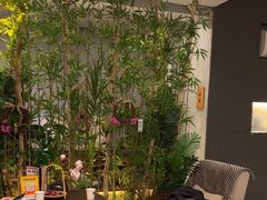 -施奈儿.洗头頭療.按摩SPA.采耳(上梅林店)